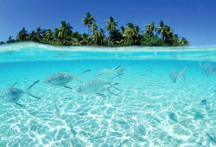 Destinasi Wisata Pantai Indonesia yang Wajib di Kunjungi