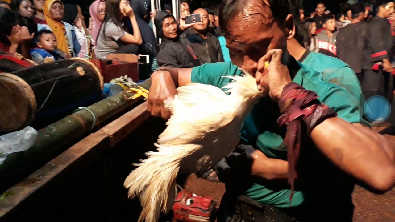 Waringin Suko Putro Budoyo Kesenian Kuda Lumping