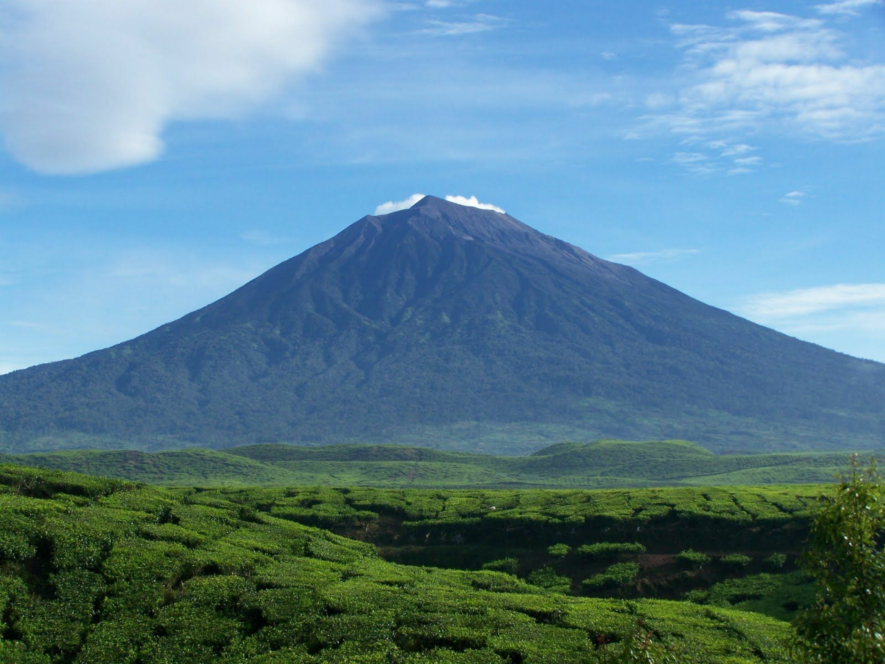 Reaksi Warga Jambi Bila Puncak Gunung Kerinci Diberi Nama Puncak Jokowi