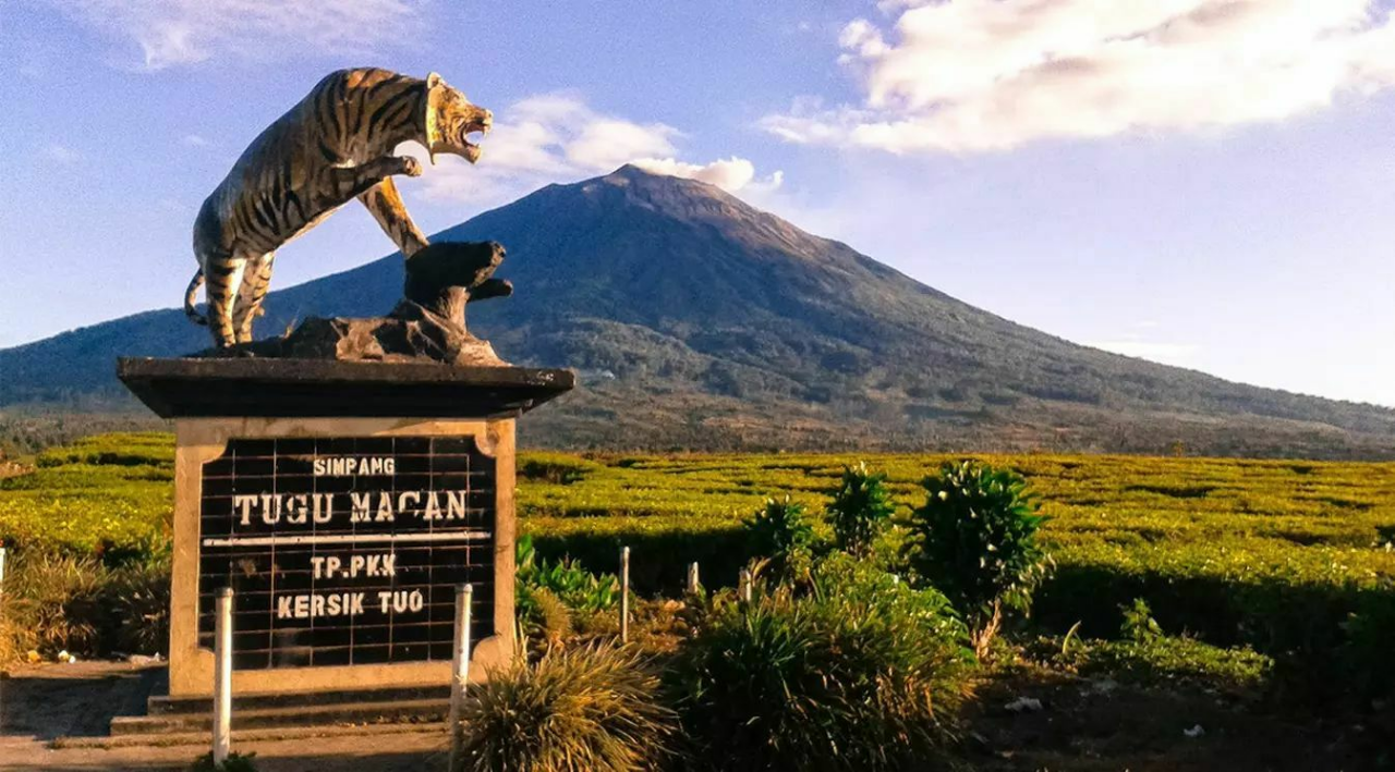 Reaksi Warga Jambi Bila Puncak Gunung Kerinci Diberi Nama Puncak Jokowi