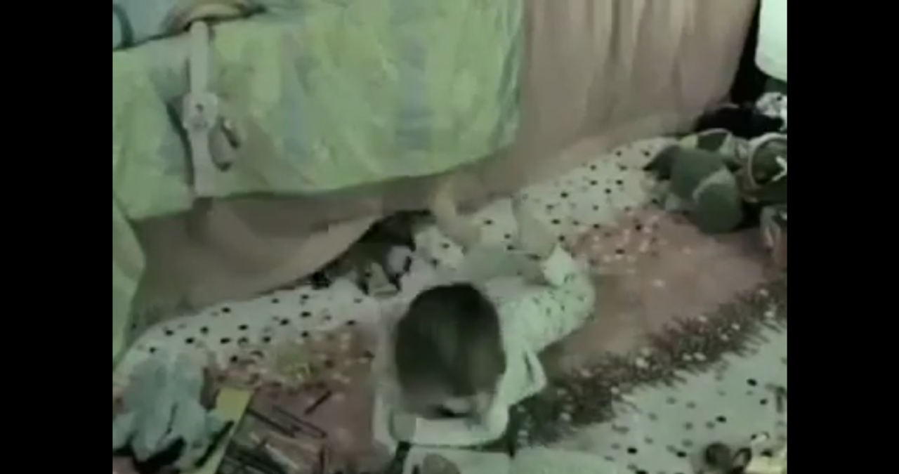 Mengerikan....bayi ini tiba-tiba di culik makhluk halus, dan terekam kamera