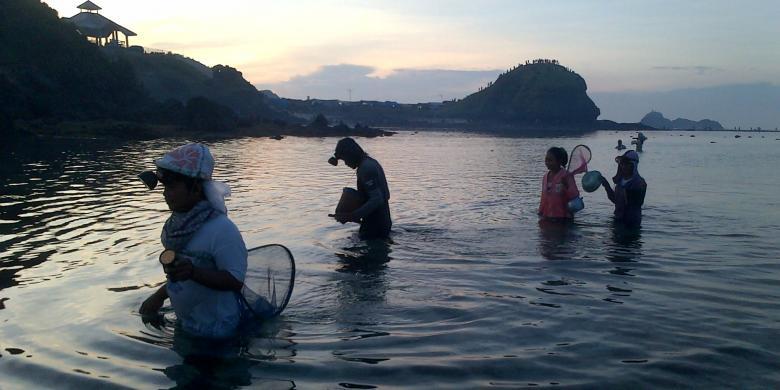 Legenda Putri Mandalika Dalam Festival Bau Nyale Lombok