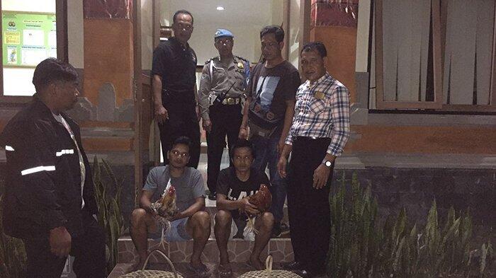 Kabur Habis Mencuri, Maling Ayam Ini Lupa Motornya Ketinggalan