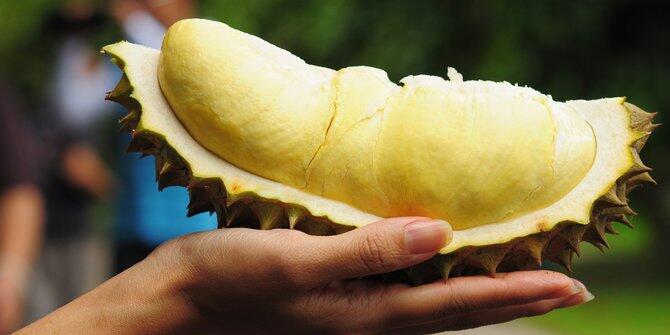 7 Cara Tepat Memilih Durian yang Manis dan Nikmat