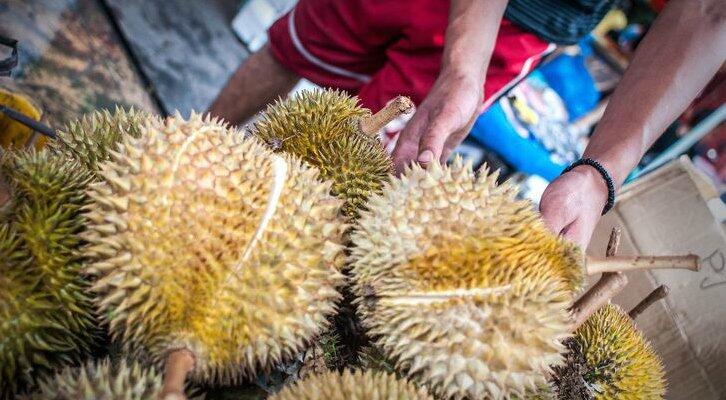 7 Cara Tepat Memilih Durian yang Manis dan Nikmat
