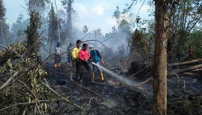 4 Provinsi Tetapkan Siaga Darurat Kebakaran Hutan