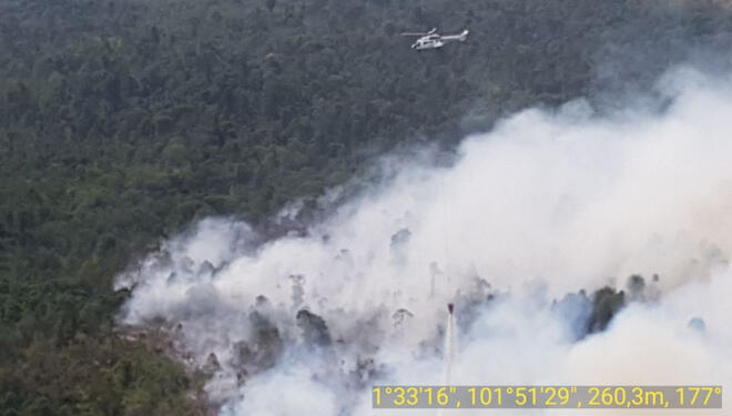 4 Provinsi Tetapkan Siaga Darurat Kebakaran Hutan