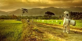 KEINDAHAN DIBALIK KESEDERHANAAN PETANI DAN SAWAH