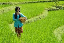 KEINDAHAN DIBALIK KESEDERHANAAN PETANI DAN SAWAH