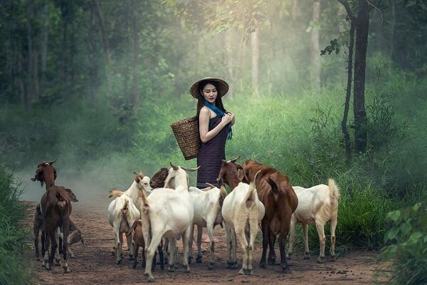KEINDAHAN DIBALIK KESEDERHANAAN PETANI DAN SAWAH
