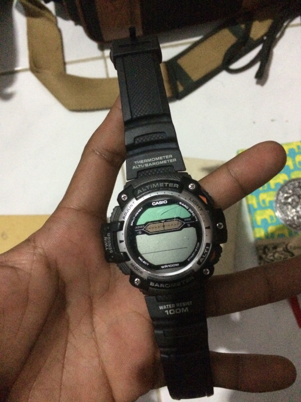Casio Sgw 300