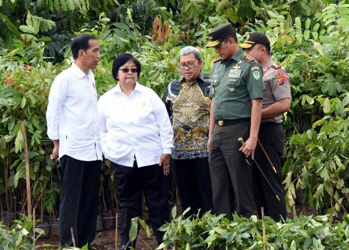 Jokowi Bakal Rutin Pantau Rehabilitasi Citarum Tiga Bulan Sekali