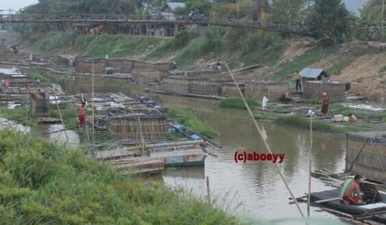 Air Sukses versi Petambak Ikan Urang Banjar