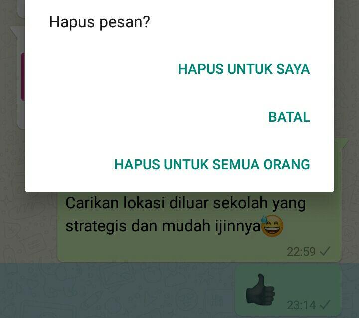 Pesan Whatsapp Dihapus, Begini Cara Ampuhnya