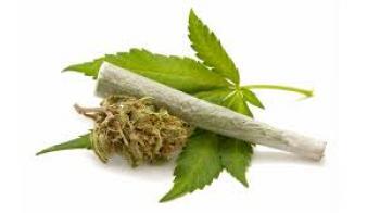 Bahhh, polisi tangkap anak SMA jual ganja di sekolah