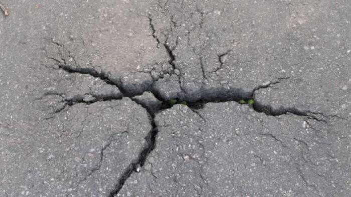 Dua Gempa Cukup Besar Guncang Papua