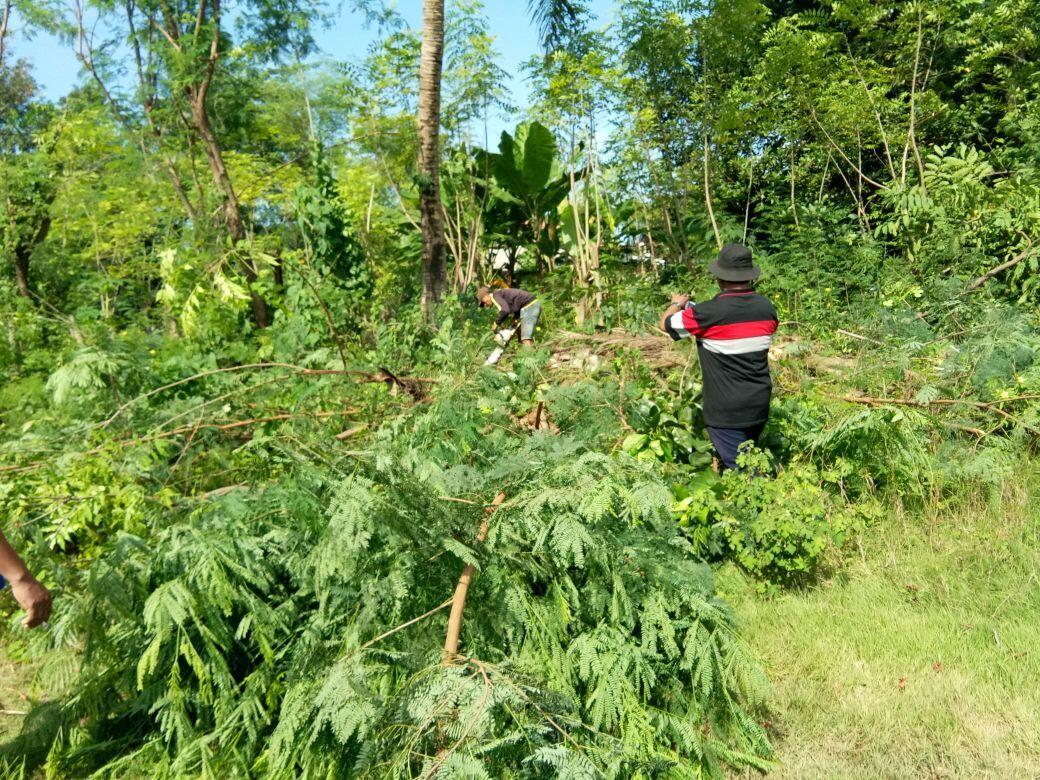 BAPAK JOKOWI TOLONG KAMI