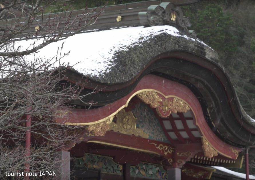 Musim Semi dan Dingin di Dazaifu