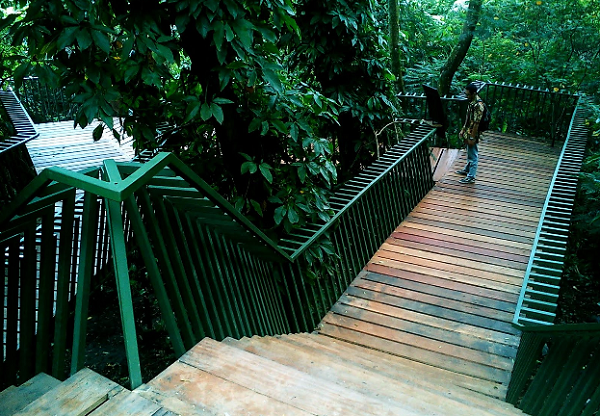 Menikmati Alam dan Kicauan Burung di Forest Walk