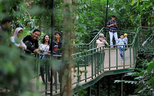 Menikmati Alam dan Kicauan Burung di Forest Walk