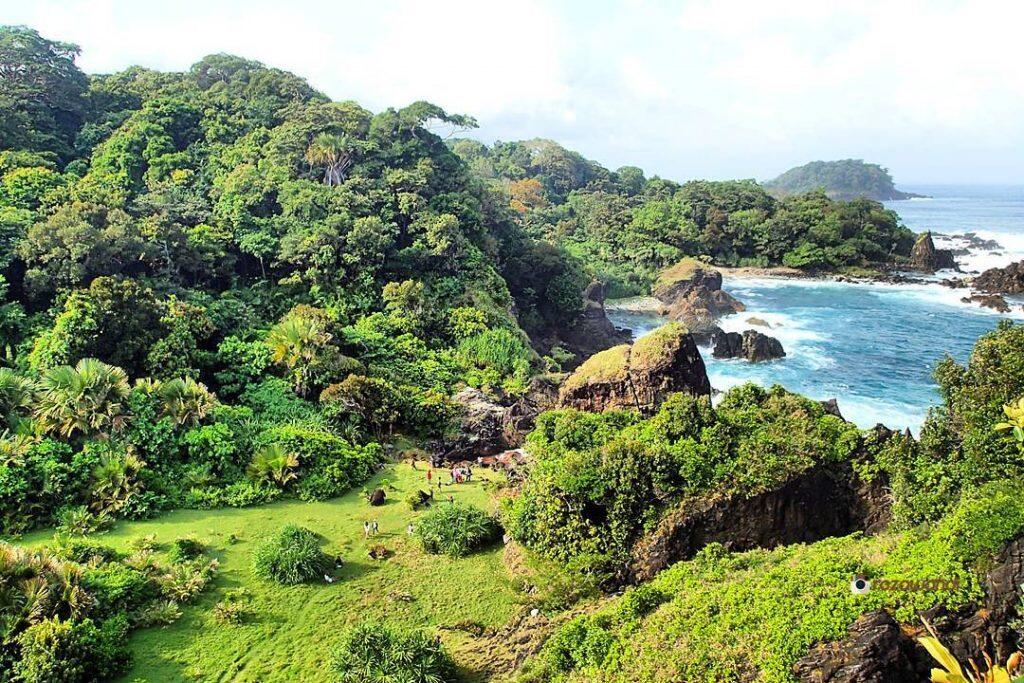 Melirik Objek Wisata Menarik di Taman Nasional Ujung Kulon