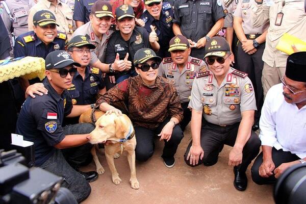 Sri Mulyani Beri Medali Untuk Anjing Ini, Apa Alasannya?