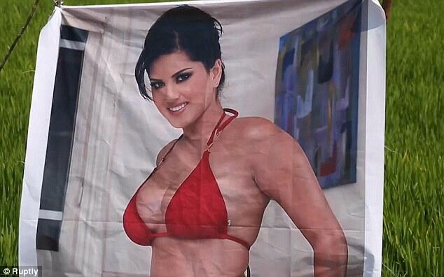 Pasang Poster Aktris Porno, Pak Petani ini Untung Besar Gan!!!