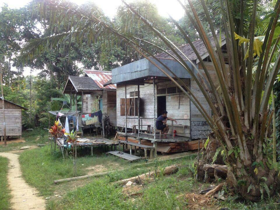 MENGENAL MODEL RUMAH PANJANG DAYAK BELANGIN