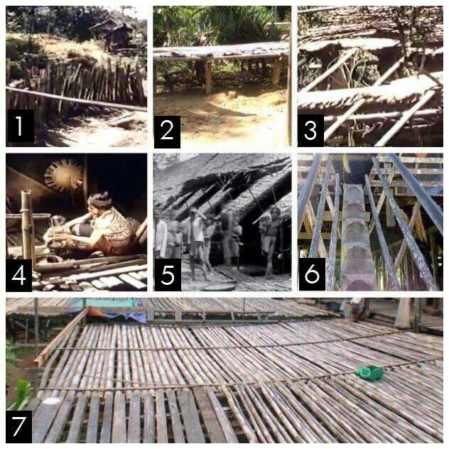 MENGENAL MODEL RUMAH PANJANG DAYAK BELANGIN