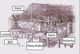 MENGENAL MODEL RUMAH PANJANG DAYAK BELANGIN