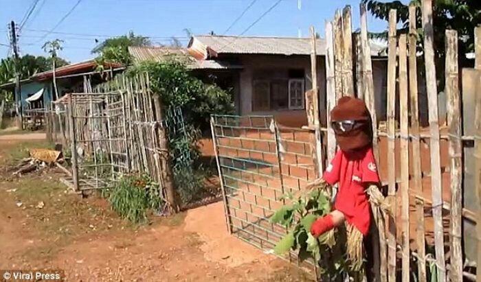 Usir Arwah Janda Penasaran, Desa Ini Pasang Orang-orangan Sawah dengan Alat Kelamin