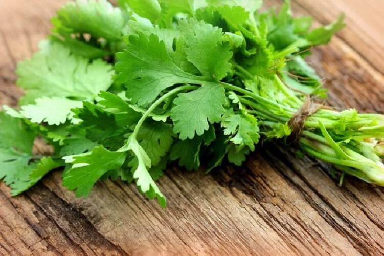 Mau Rambut Cetar dan Badai? 7 Bahan Alami Ini Khasiatnya Nggak Mengkhianati