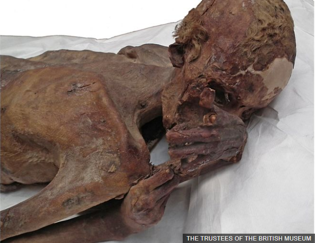Ditemukan Tato tertua pada Mumi berusia 5000 tahun