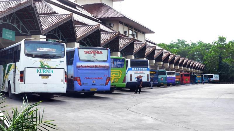 Wow!! Sopir Bus Tersibuk di dunia Ternyata ada di Indonesia