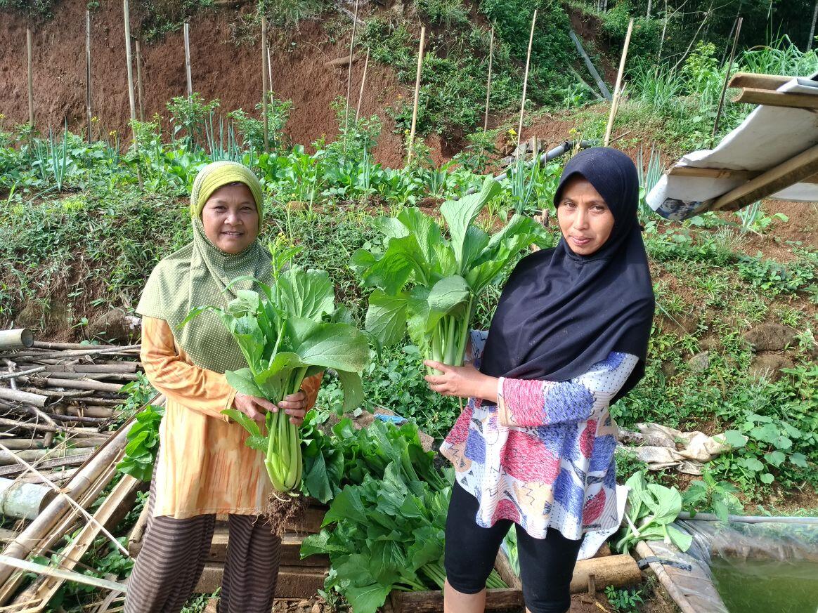 Sukses yang Memudar di Pinggiran Kota Garut
