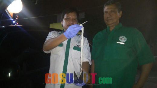 Ngeri.... Warga Medan Keluarkan Cacing Pita sepanjang 2,17 Meter dari "Lubang" nya