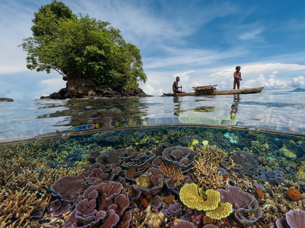 Berikut 5 Tempat Freediving Terbaik di Asia Tenggara