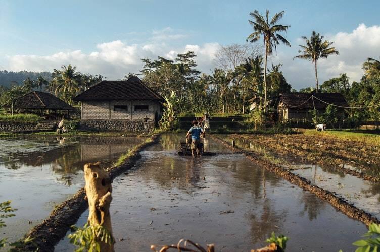 9 Taktik Bijak untuk Mengurangi Sampah Makanan. Sayang Banget ‘Kan Kalau Mubadzir