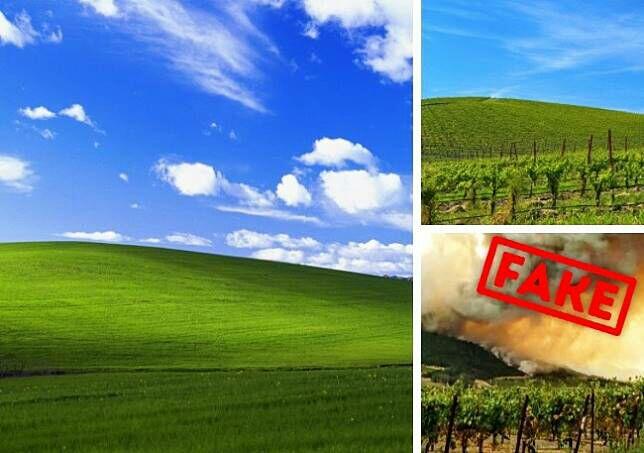 Pernah Jadi Viral di Dunia Maya, Siapa Sangka 5 Foto Ini Sebenarnya Hanya Hoax!