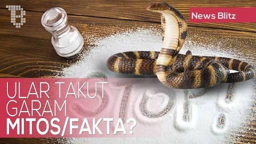 Mitos Atau Fakta?