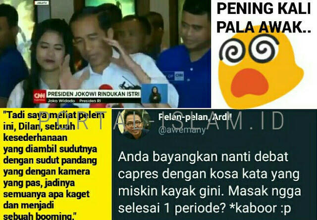 Politisi Demokrat: Jokowi sedang Sakit, Daya Khayalnya Menurun Tajam