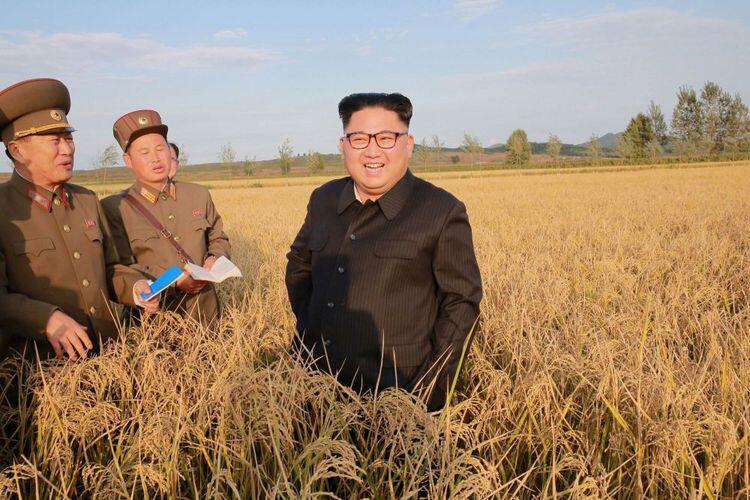 Sudah Tau Gan 8 Fakta "Aneh" Tentang Pemimpin Korut, Kim Jong Un?