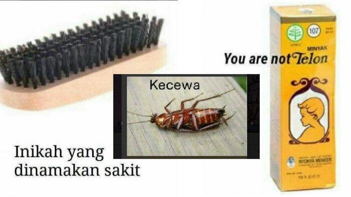 10 Meme Plesetan yang Sukses Bikin Netter Ngakak