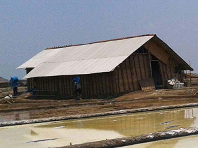 SUKSES ITU KALAU PUNYA TAMBAK UDANG, GUDANG GARAM dan HEKTARAN SAWAH