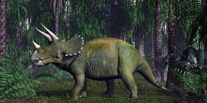 7 Misteri Dinosaurus Yang Belum Ada Jawabannya