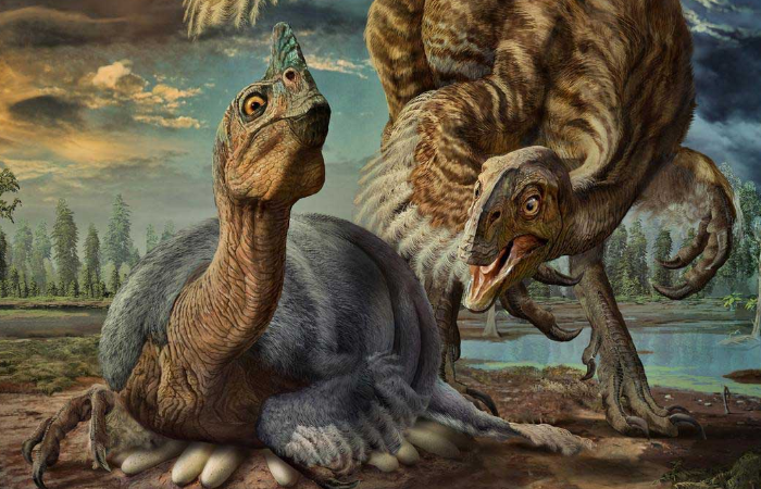 7 Misteri Dinosaurus Yang Belum Ada Jawabannya