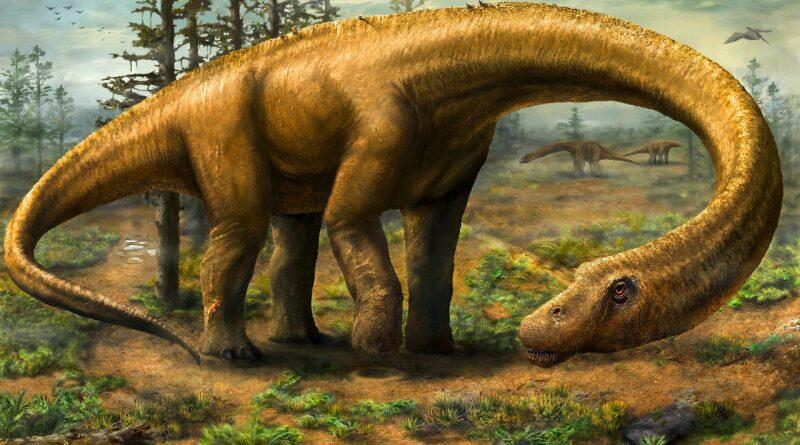 7 Misteri Dinosaurus Yang Belum Ada Jawabannya