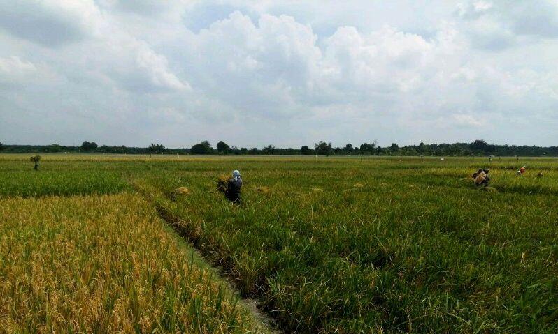 Sukses Itu Ada 4 Hal