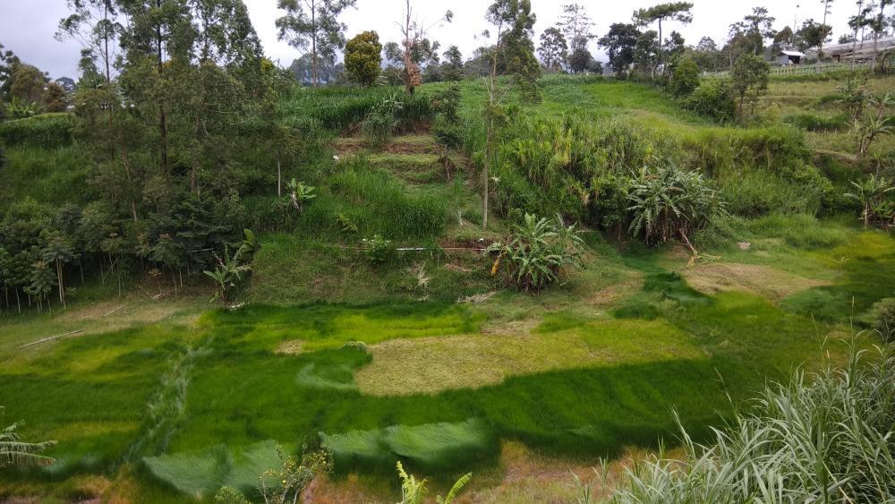 Air Terjun Panas Lengkap dengan Kolam Bendungan di Parongpong, Lembang