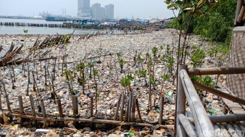 Potret Lautan Sampah di Teluk Jakarta